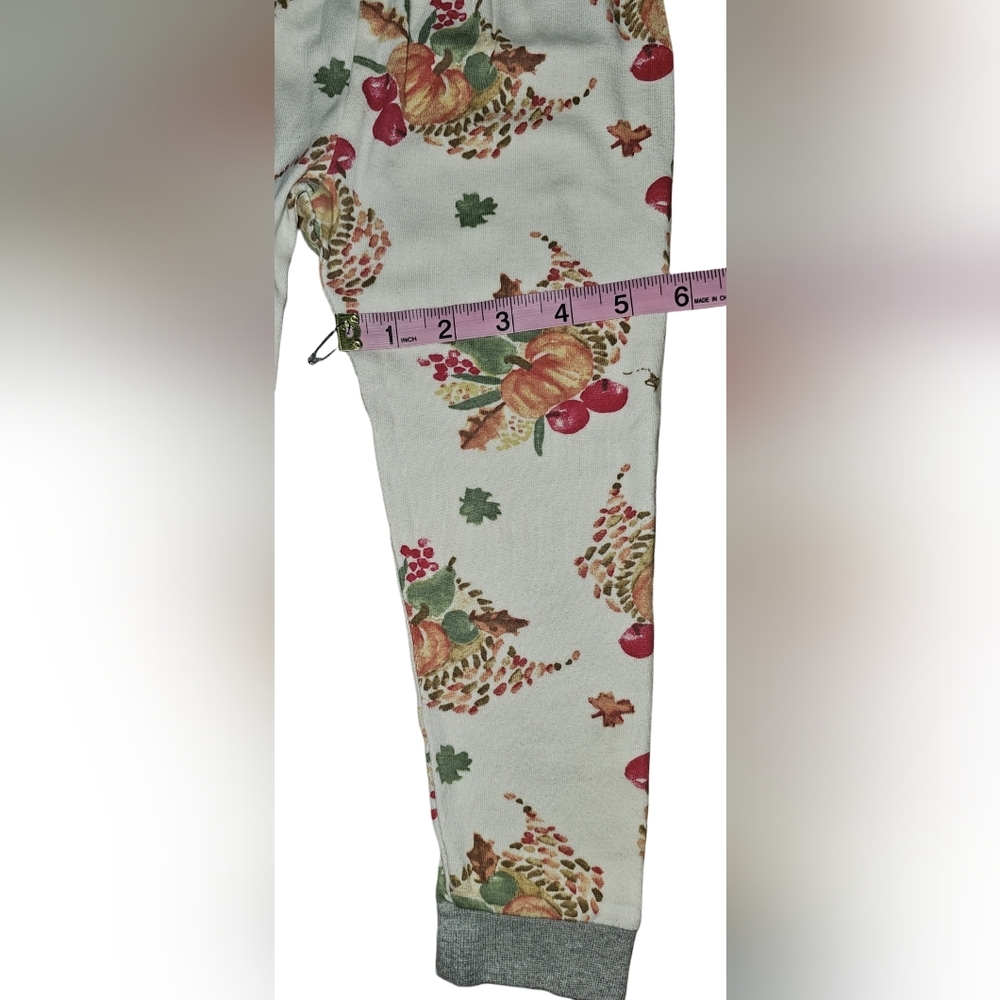 Burt’s Bees Kids Organic Cotton Pajama Set Thanksgiving Fall Pumpkin Harvest 4T - Picture 13 of 16